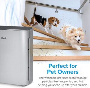 LEVOIT Air Purifier for Home Large Room2