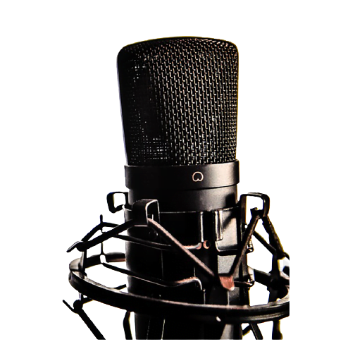 Voice Over Services by Fiverr