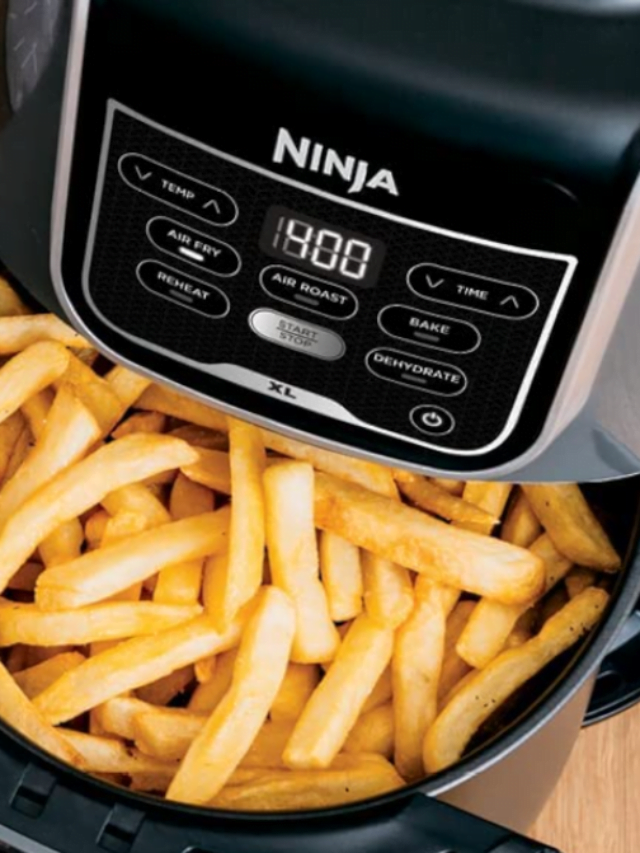 Is an Air Fryer worth Buying?